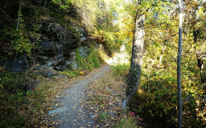 Wohin man geht... Wander- und Bikewege