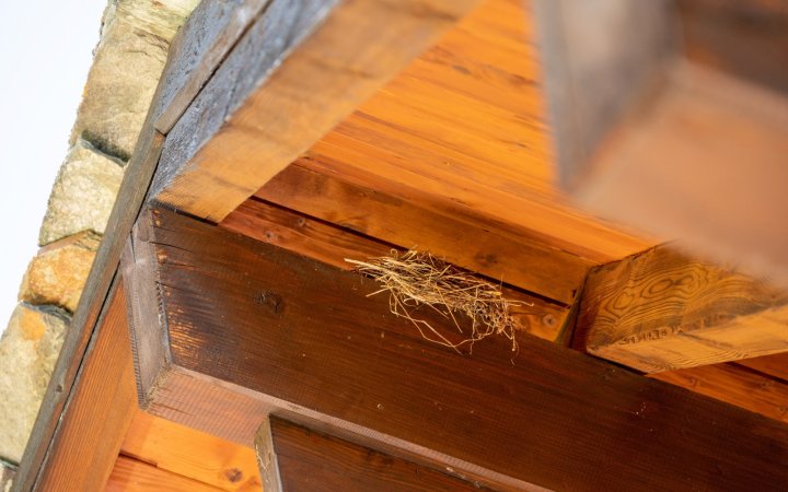 Aufwiedersehen bei uns mit Ihnen