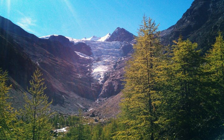 Dem Riedgletscher so nahe