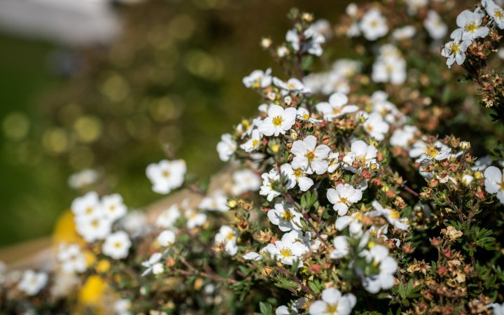 Frühlingserwachen-Feriengefühle